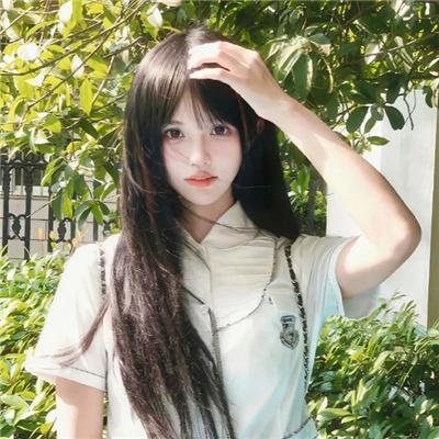 闪光的羽毛